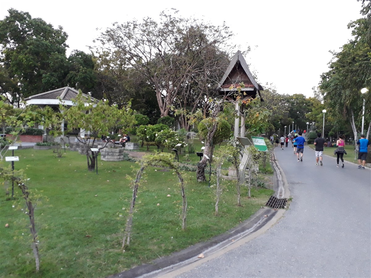 Walking In Exploring Chatuchak Park : Bangkok, Thailand (May'17) 8