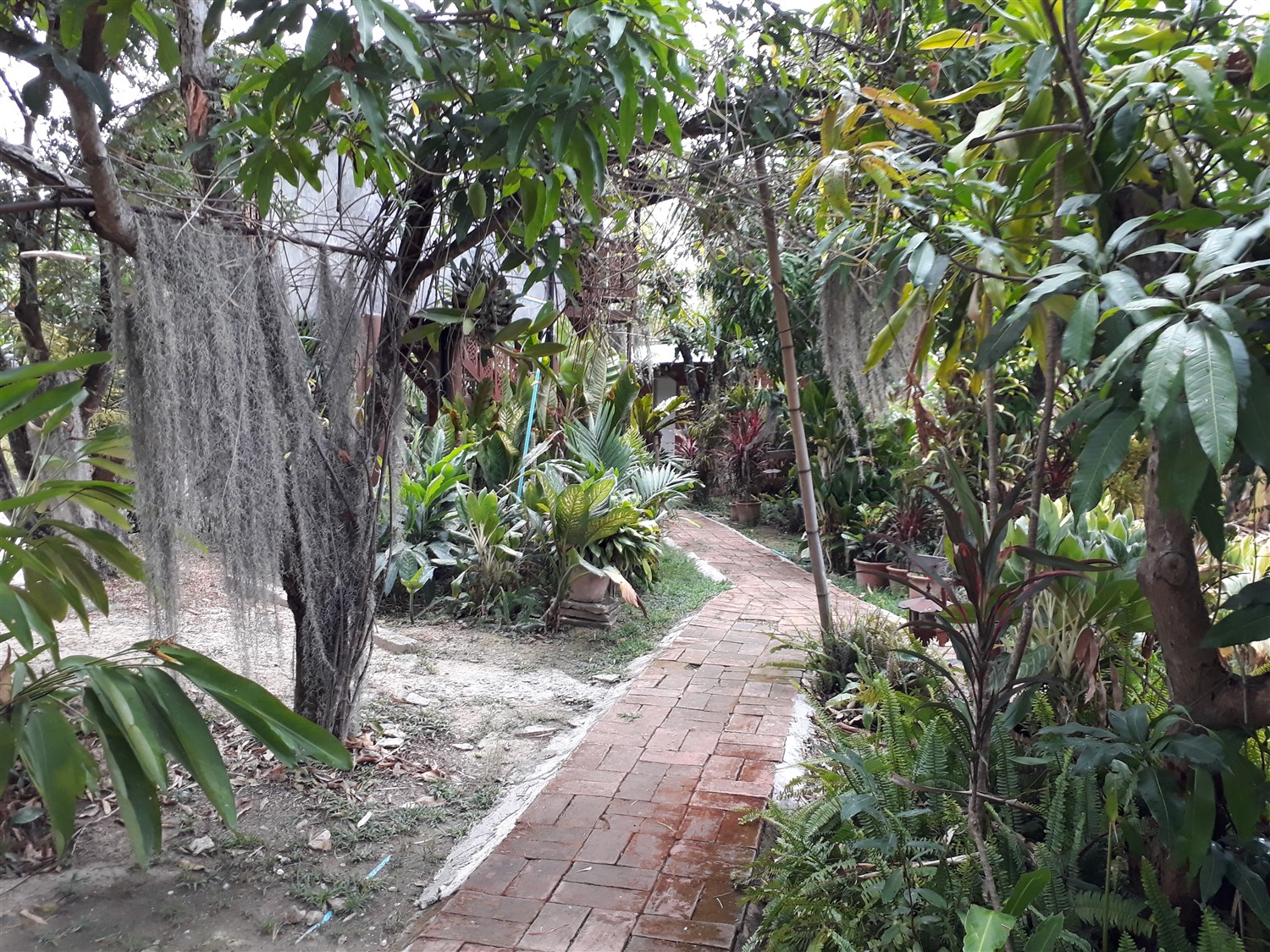 Exploring Around Ban Chunsongsang Home Stay, Chiang Mai : Thailand (Apr'17) 7