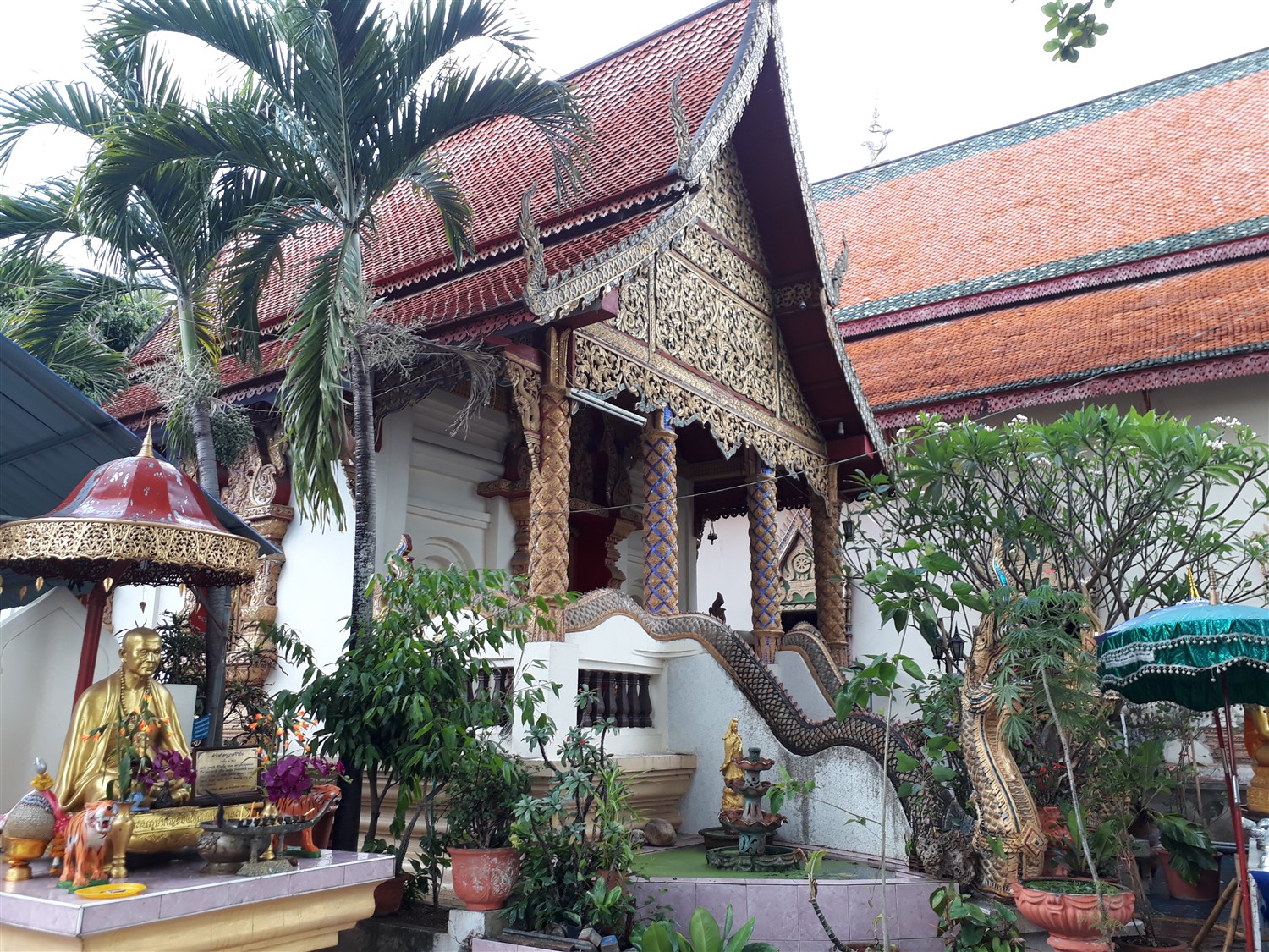 Exploring Around Ban Chunsongsang Home Stay, Chiang Mai : Thailand (Apr'17) 13