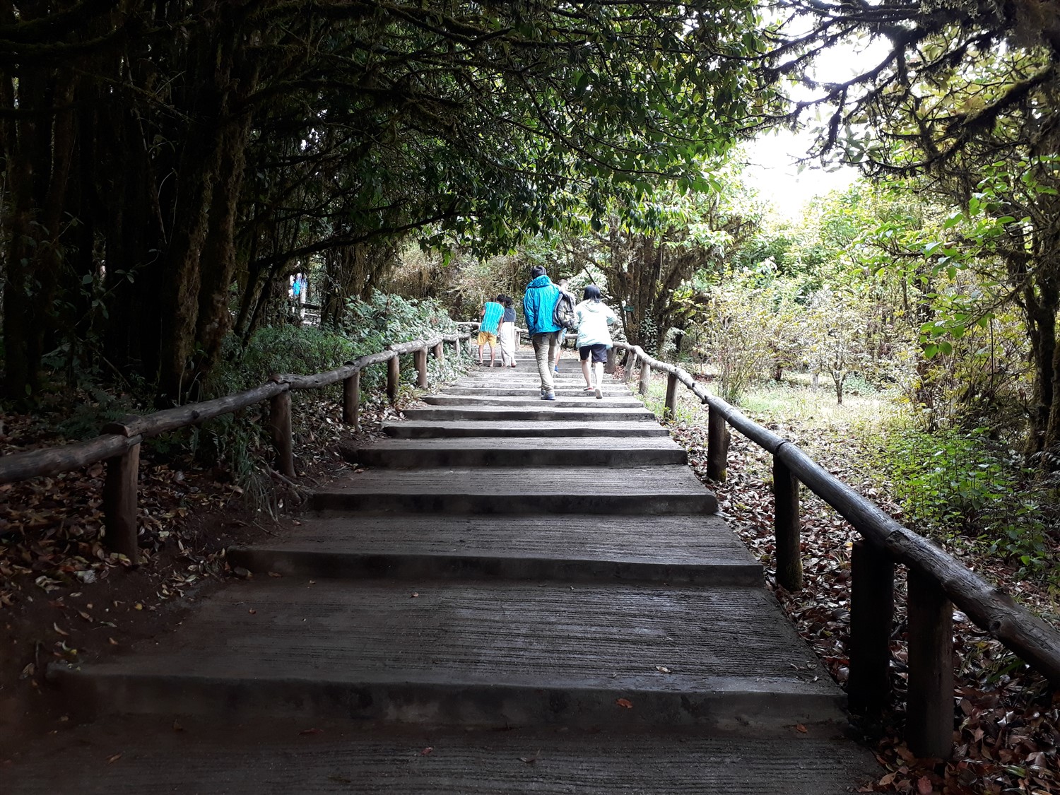 Day 2 - One Day Trip To Doi Inthanon National Park : Chiang Mai, Thailand (Apr'17) 8