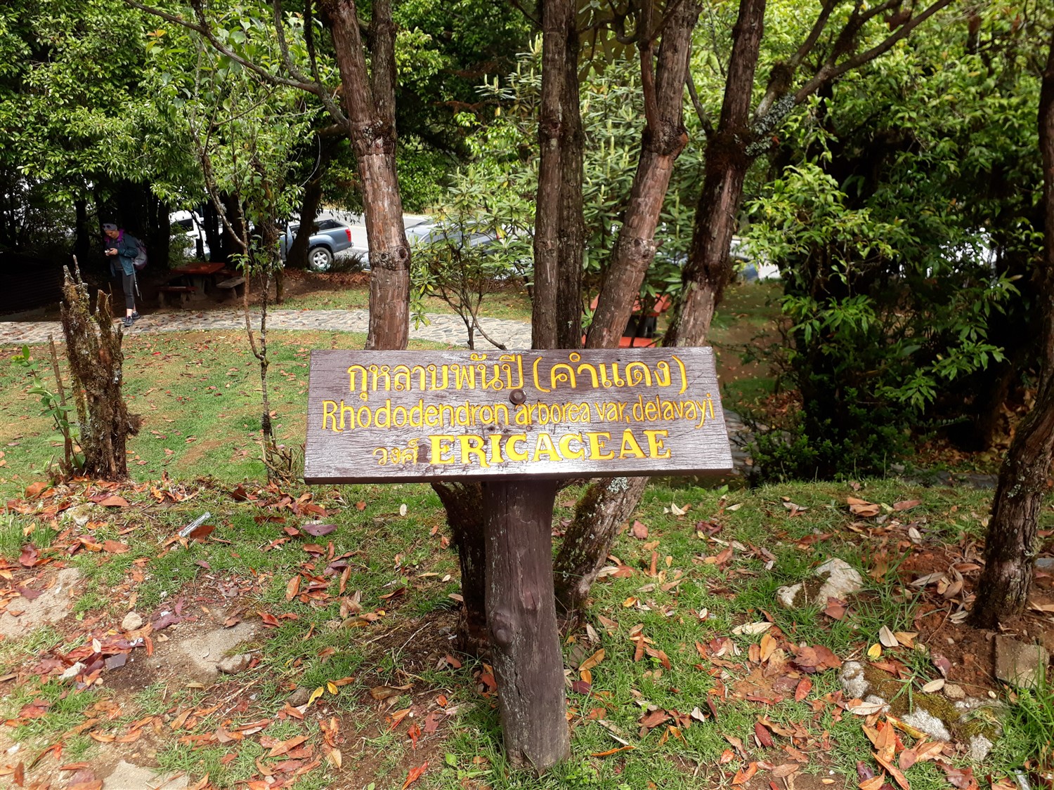 Exploring Chiang Mai Mountains : Thailand (Apr'17) 10