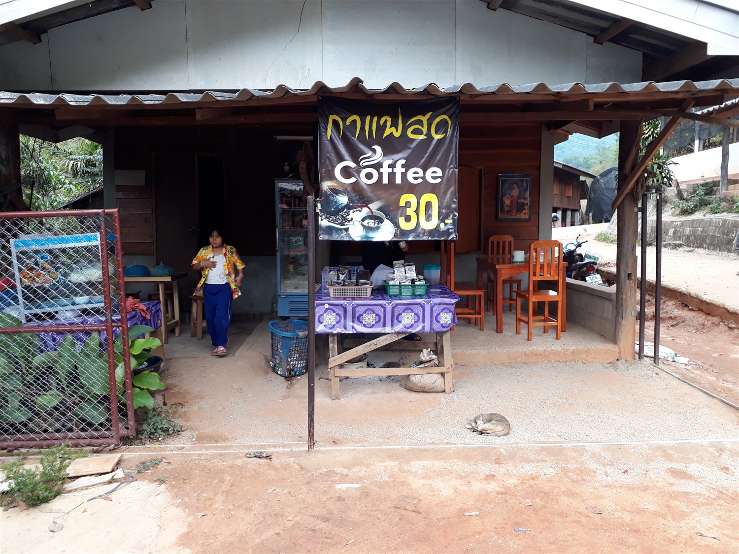 Day 2 - One Day Trip To Doi Inthanon National Park : Chiang Mai, Thailand (Apr'17) 20