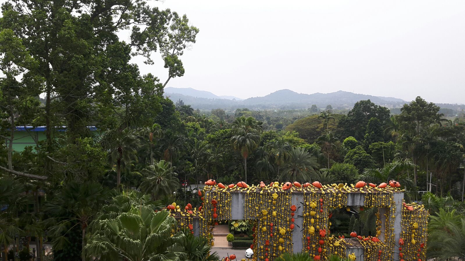 One Day Tour To Nongnuch Pattaya Garden : Thailand (Feb'18) 10