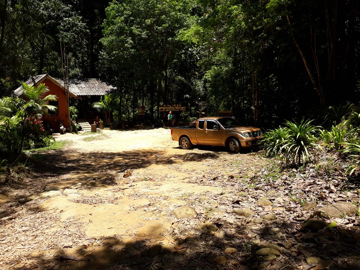 Day 2 - Jungle Trekking in Khao Sok National Park : Surat Thani, Thailand (Apr'18) 8