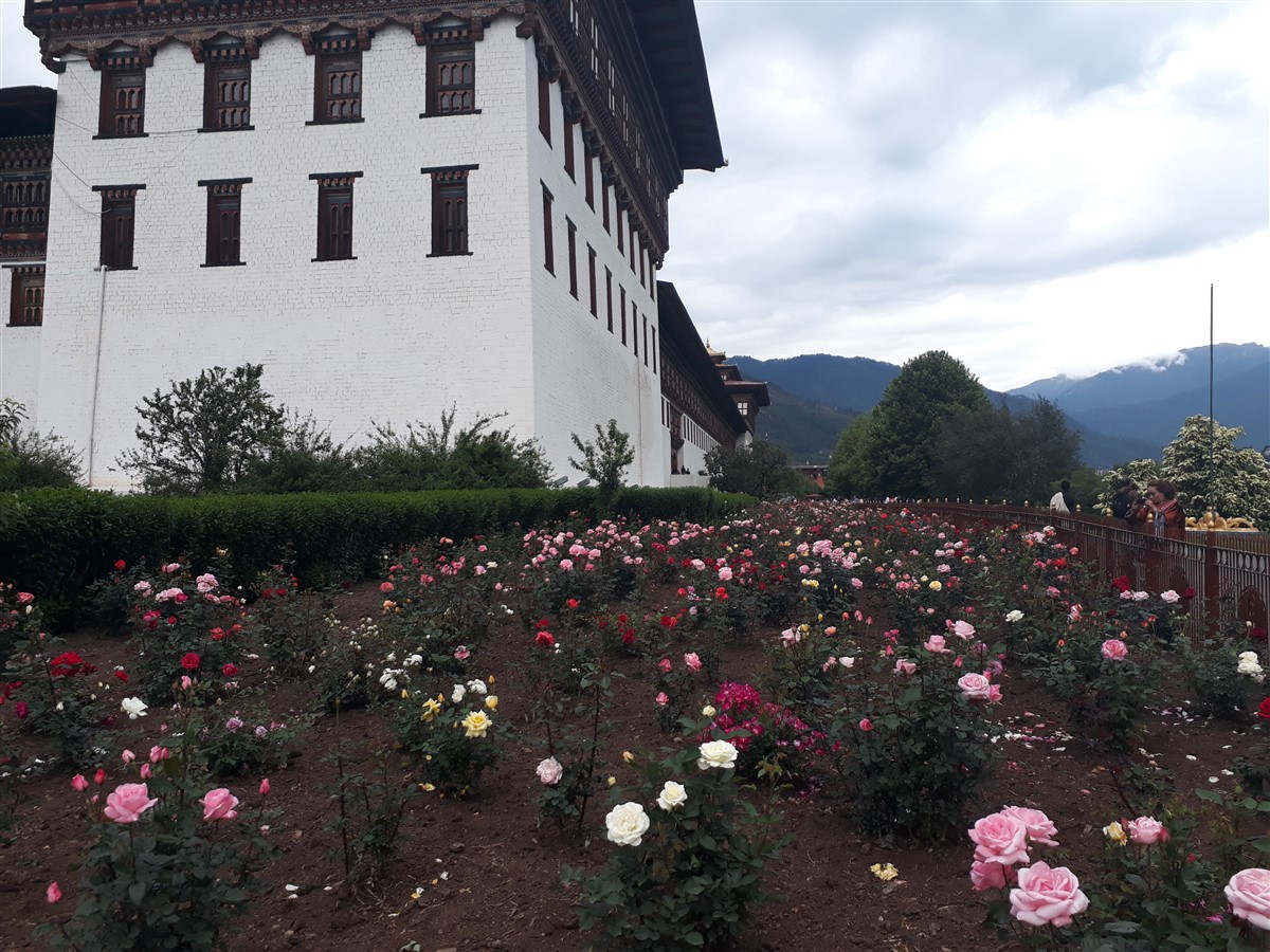 Exploring Around Paro & Thimphu : Bhutan (Jun’18) - Day 1 60