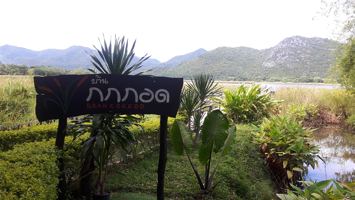 One Night Stay at Baan Kokkod : Kanchanaburi, Thailand (Jun’18) 15