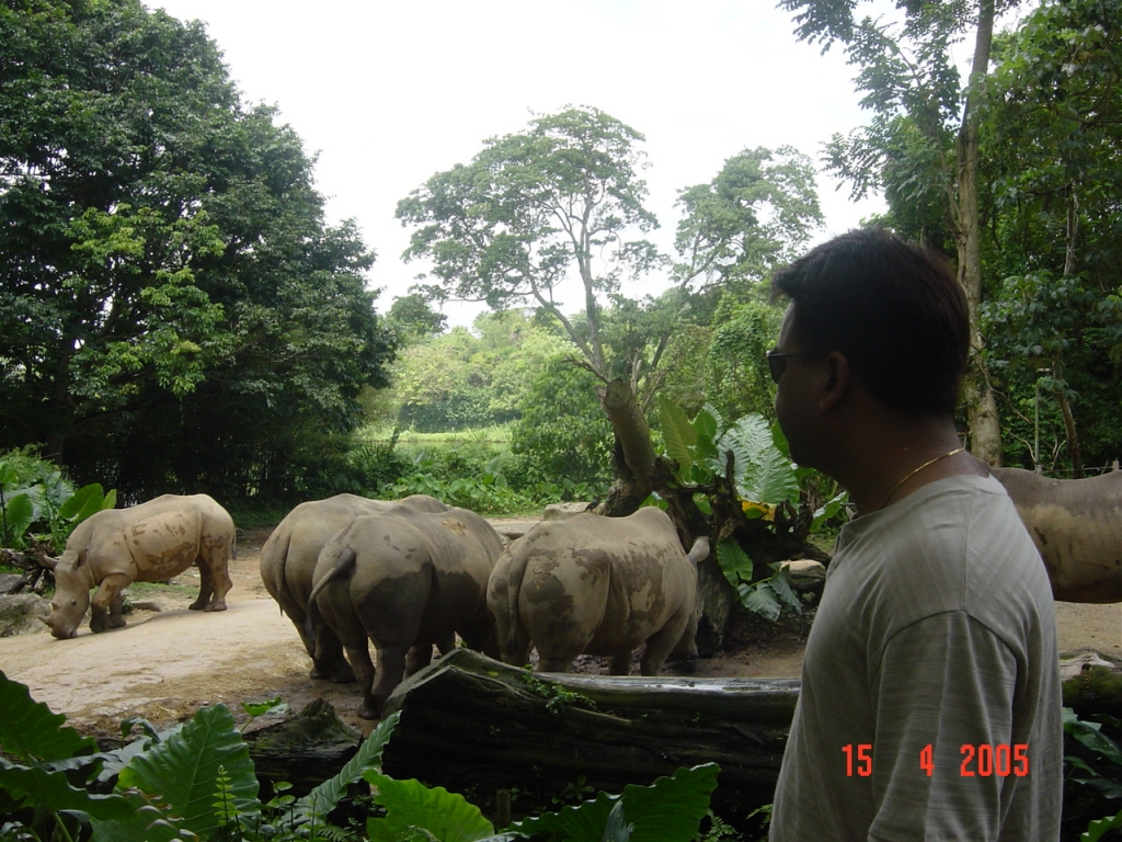 Day 3 - One Day Trip To Singapore Zoo : Singapore (Apr’05) 6