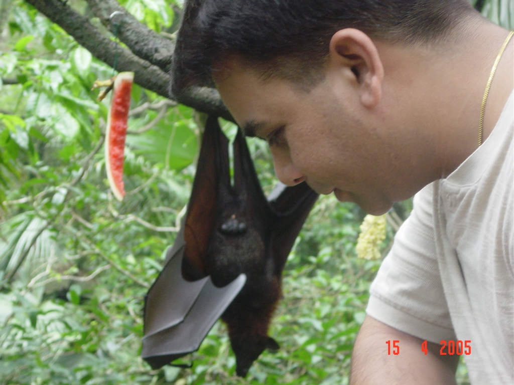 Day 3 - One Day Trip To Singapore Zoo : Singapore (Apr’05) 2