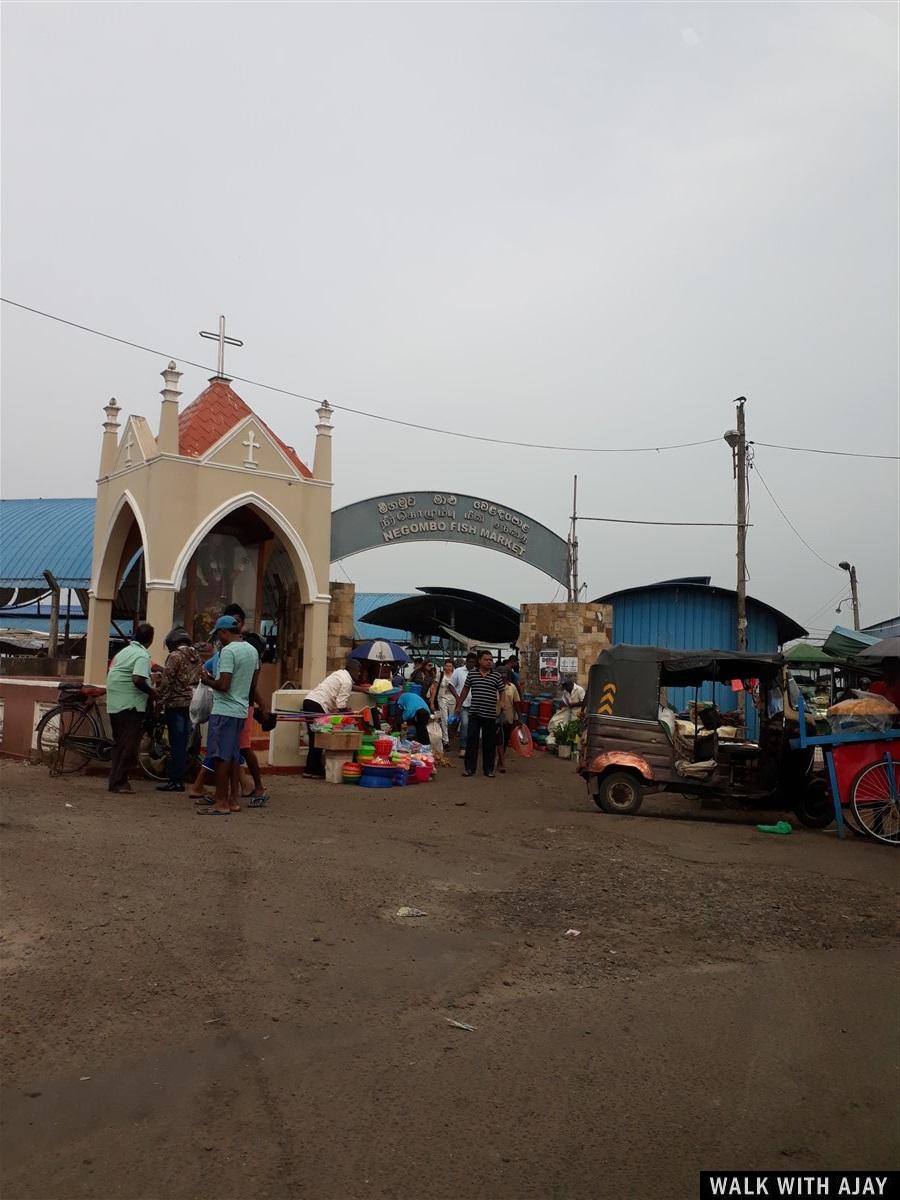 Day 3 - Visited Negombo Fish Market : Sri Lanka (Dec’18) 8
