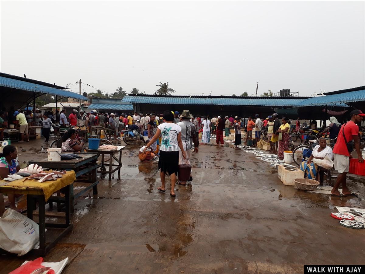 Day 3 - Visited Negombo Fish Market : Sri Lanka (Dec’18) 9
