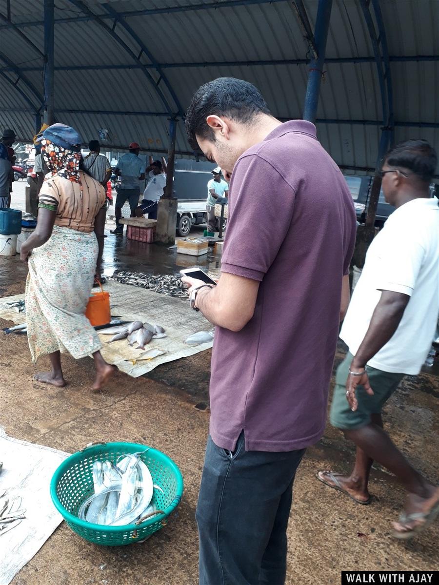 Day 3 - Visited Negombo Fish Market : Sri Lanka (Dec’18) 10
