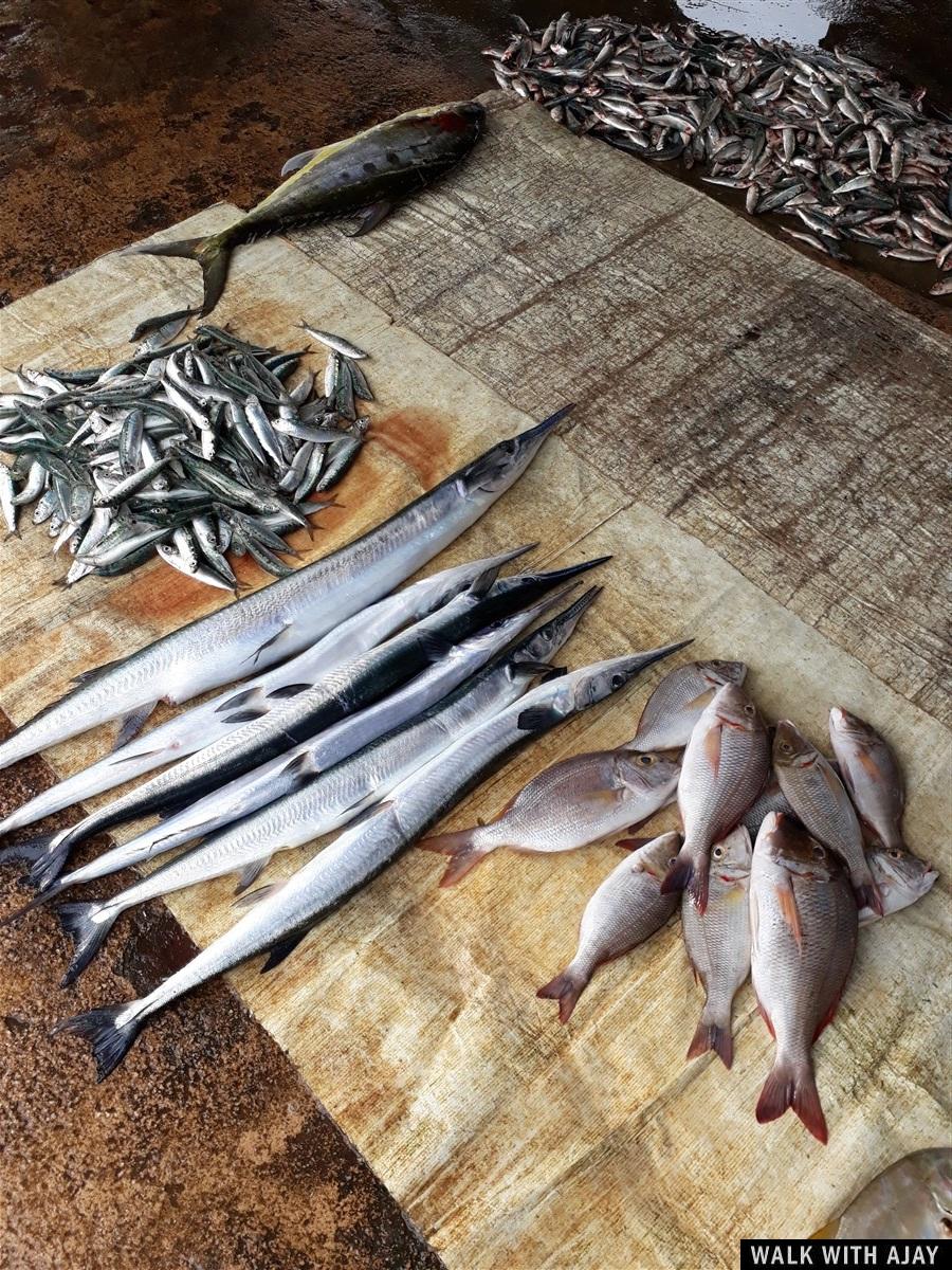 Day 3 - Visited Negombo Fish Market : Sri Lanka (Dec’18) 12