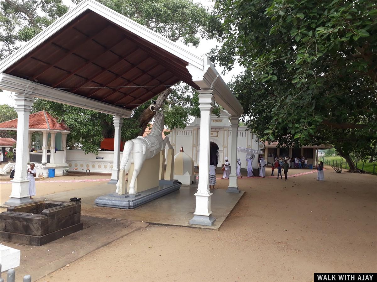 Day 3 - Visited Negombo Fish Market : Sri Lanka (Dec’18) 21