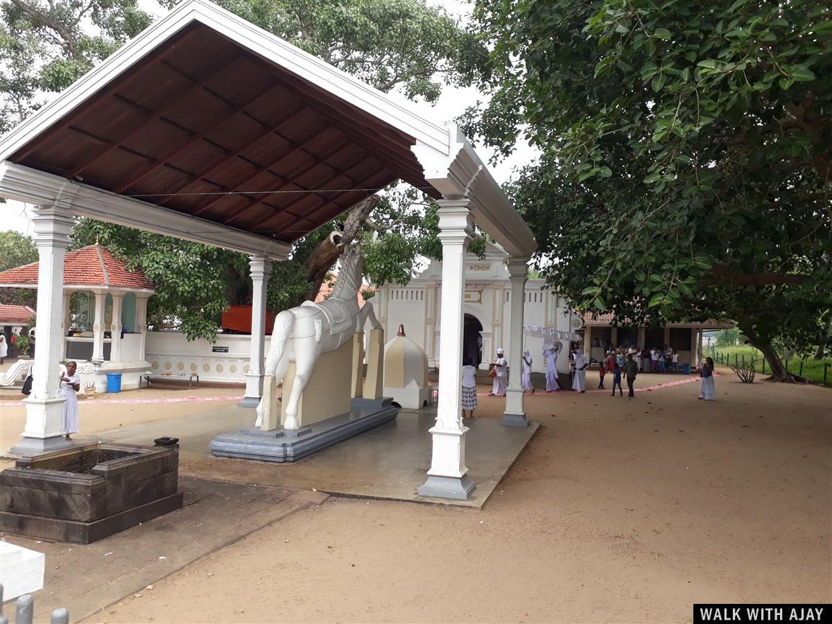 Exploring Negombo : Sri Lanka (Dec’18) - Day 3 21