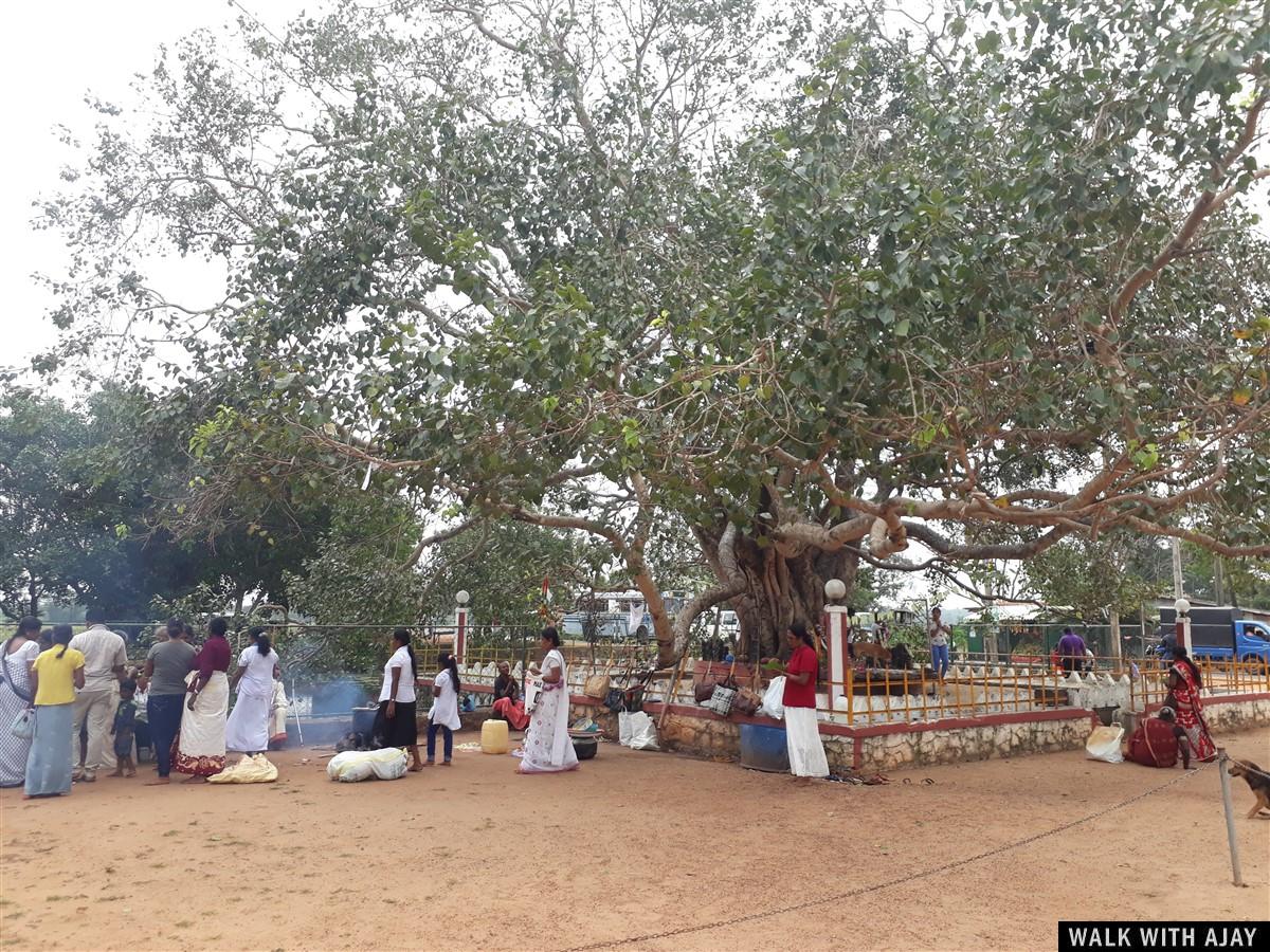 Day 3 - Short Trip to Chilaw : Sri Lanka (Dec’18) 5