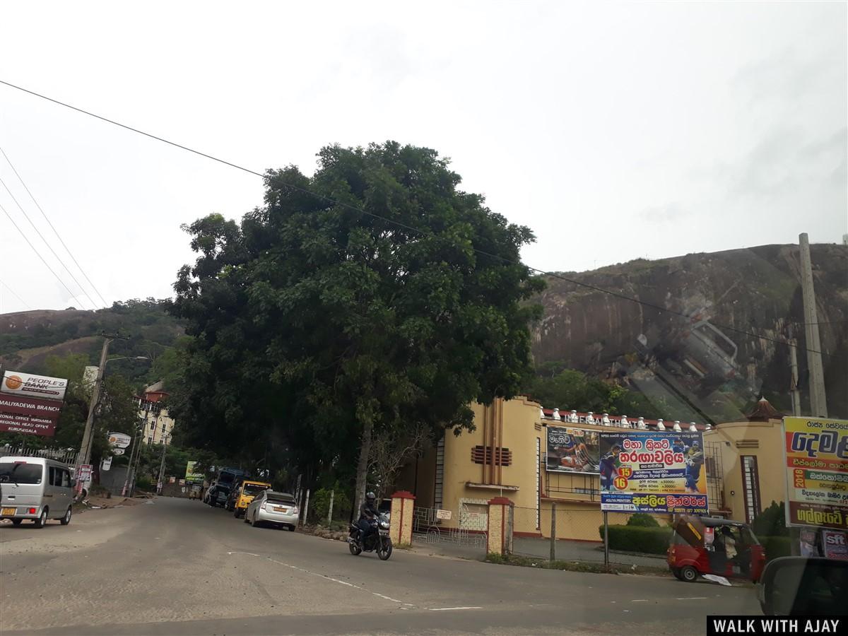 Day 3 - Short Trip to Chilaw : Sri Lanka (Dec’18) 13