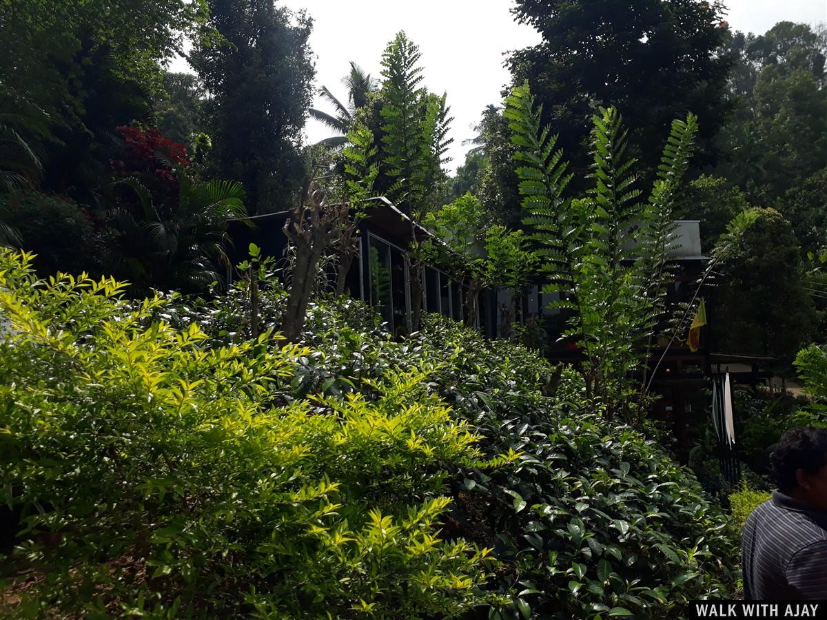 Day 4 & 5 - Visited Sita Amman Temple, Hanuman Footprint & More : Nuwara Eliya, Sri Lanka (Dec’18) 28