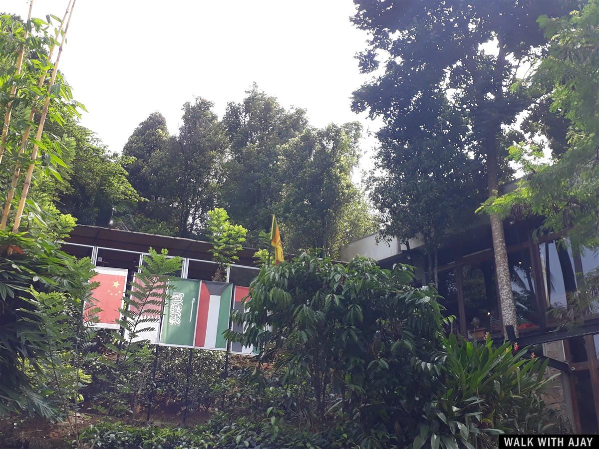 Day 4 & 5 - Visited Sita Amman Temple, Hanuman Footprint & More : Nuwara Eliya, Sri Lanka (Dec’18) 29