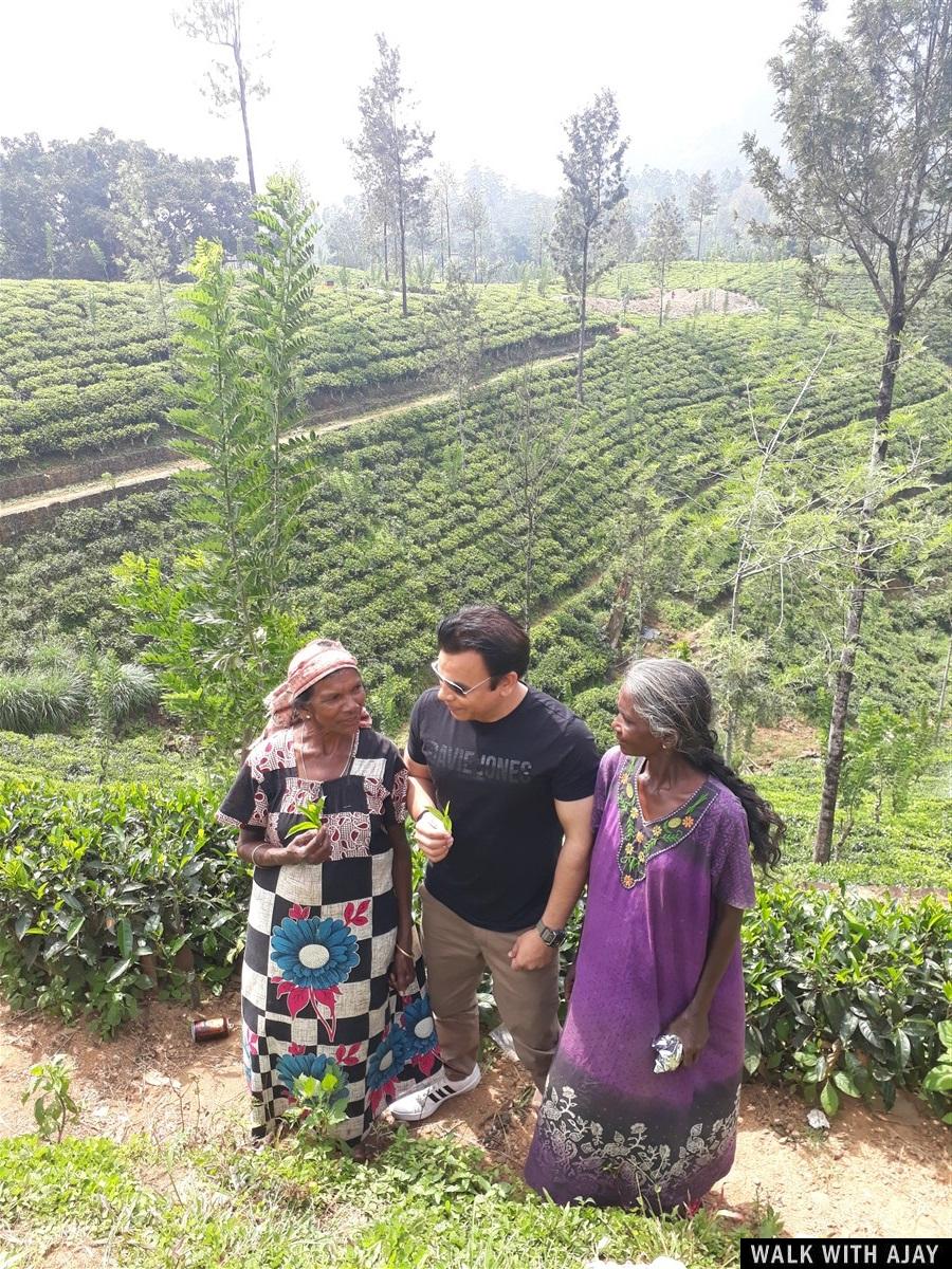 Day 4 & 5 - Visited Sita Amman Temple, Hanuman Footprint & More : Nuwara Eliya, Sri Lanka (Dec’18) 34