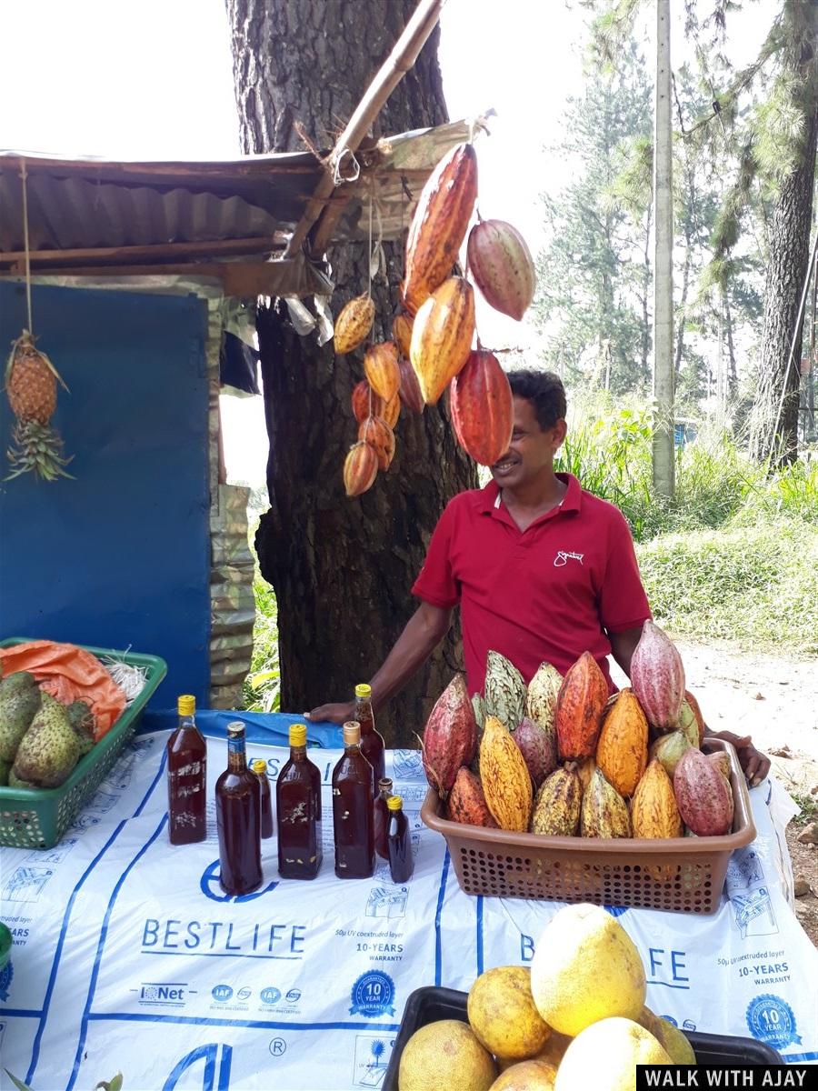 Day 4 & 5 - Visited Sita Amman Temple, Hanuman Footprint & More : Nuwara Eliya, Sri Lanka (Dec’18) 41