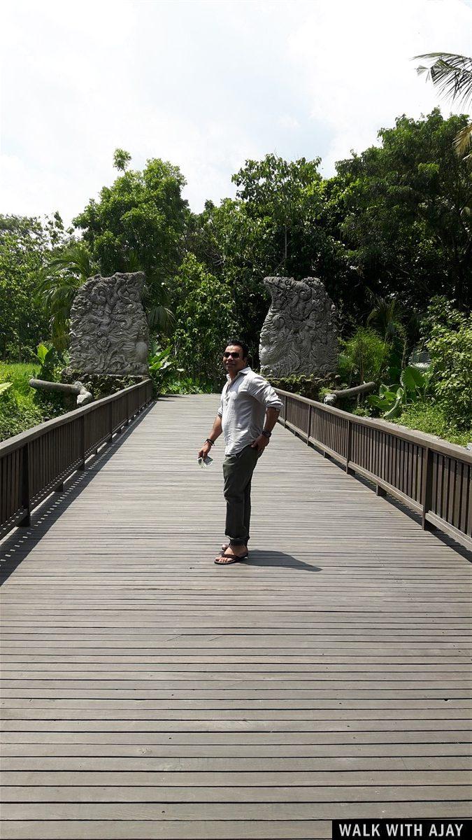 Day 1 - Places to Visit in Ubud : Bali, Indonesia (Dec'18) 13