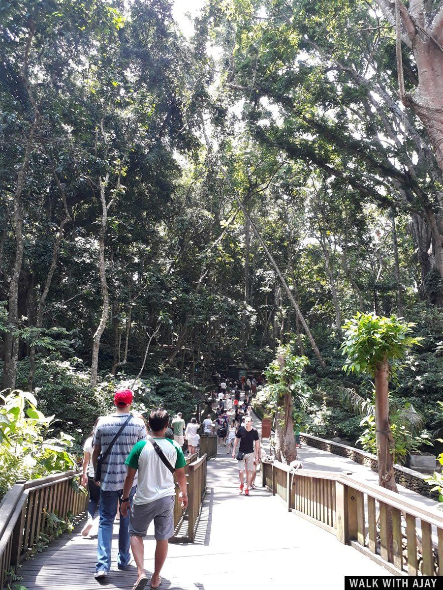 Day 1 - Places to Visit in Ubud : Bali, Indonesia (Dec'18) 17