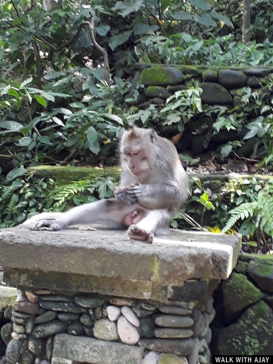 Day 1 - Places to Visit in Ubud : Bali, Indonesia (Dec'18) 18