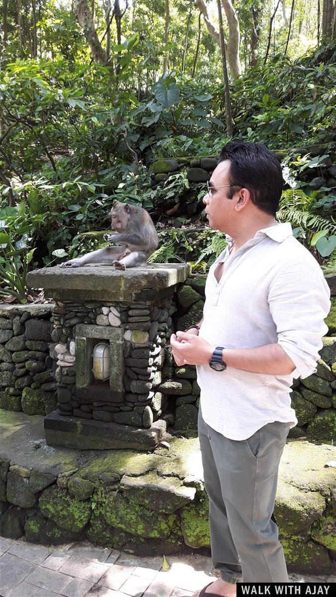Day 1 - Places to Visit in Ubud : Bali, Indonesia (Dec'18) 23