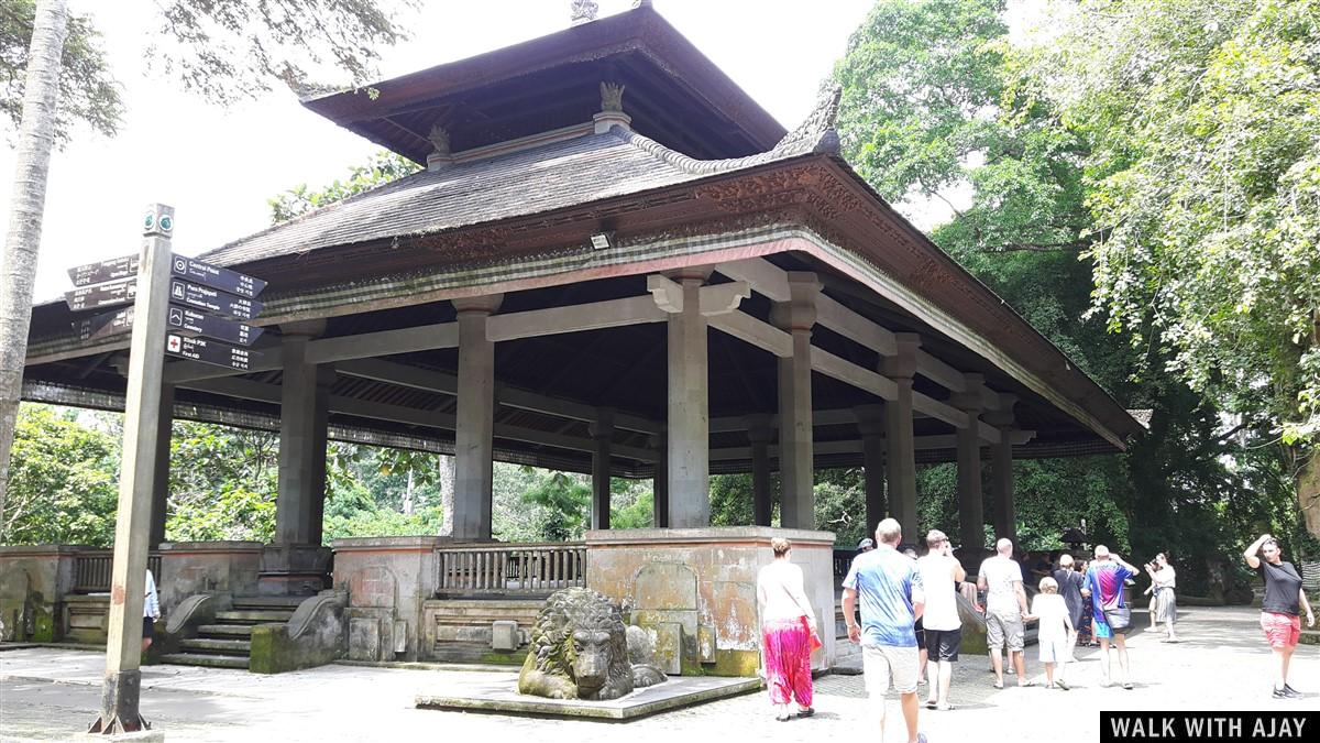 Day 1 - Places to Visit in Ubud : Bali, Indonesia (Dec'18) 21