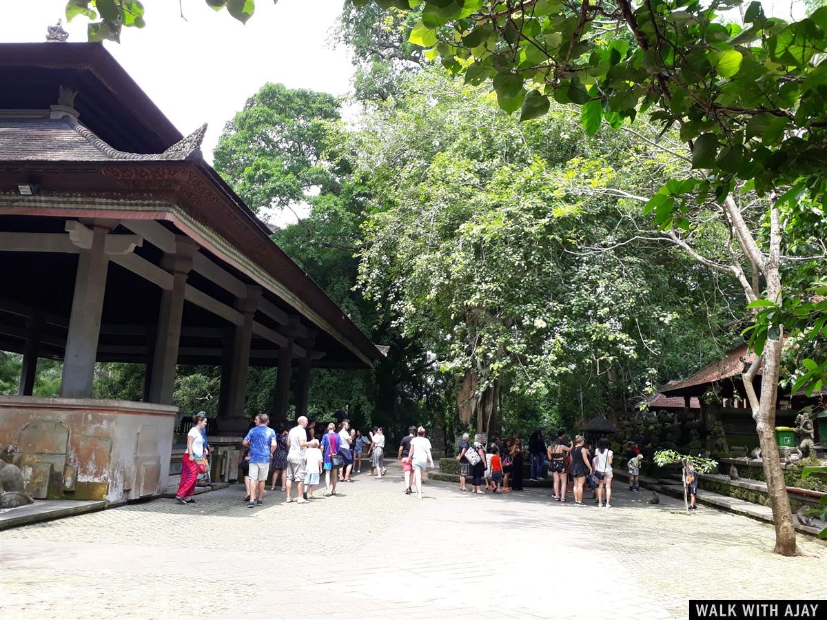 Day 1 - Places to Visit in Ubud : Bali, Indonesia (Dec'18) 20