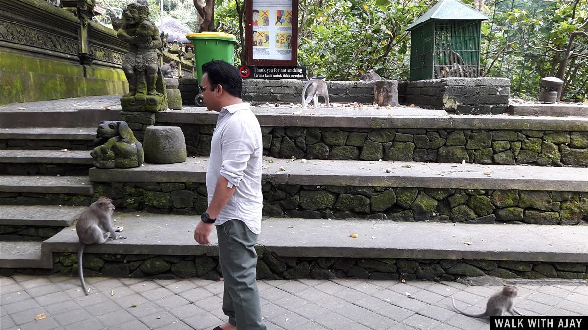 Day 1 - Places to Visit in Ubud : Bali, Indonesia (Dec'18) 19
