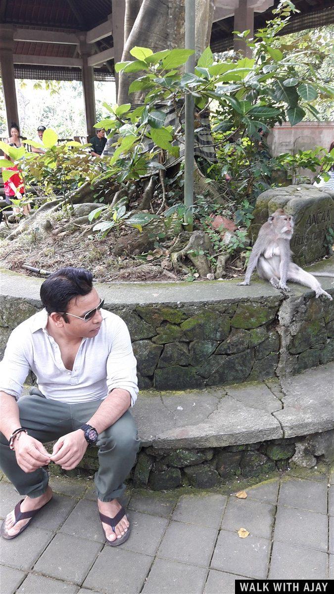 Day 1 - Places to Visit in Ubud : Bali, Indonesia (Dec'18) 24
