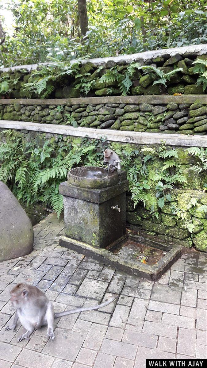 Day 1 - Places to Visit in Ubud : Bali, Indonesia (Dec'18) 29