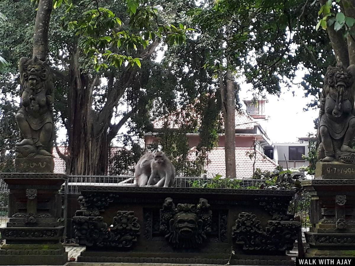 Day 1 - Places to Visit in Ubud : Bali, Indonesia (Dec'18) 28