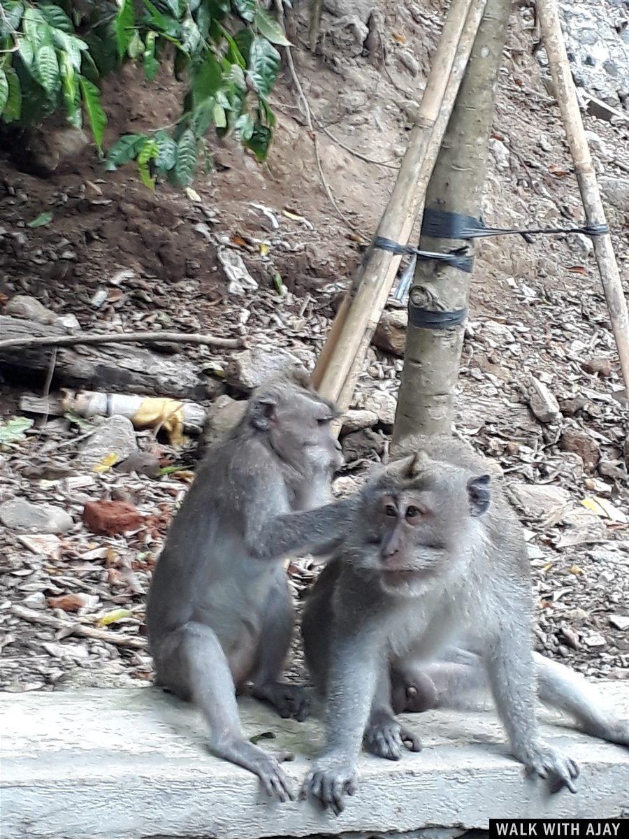 Day 1 - Places to Visit in Ubud : Bali, Indonesia (Dec'18) 15