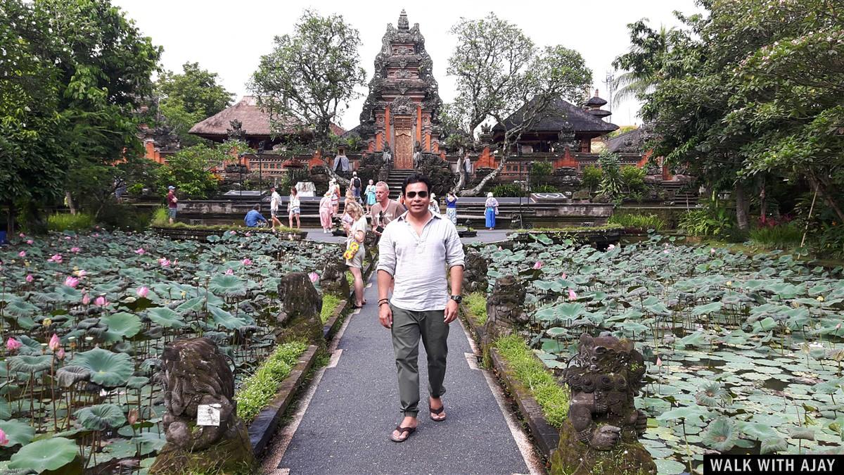 Exploring Ubud, Bali : Indonesia (Dec'18) - Day 1 34