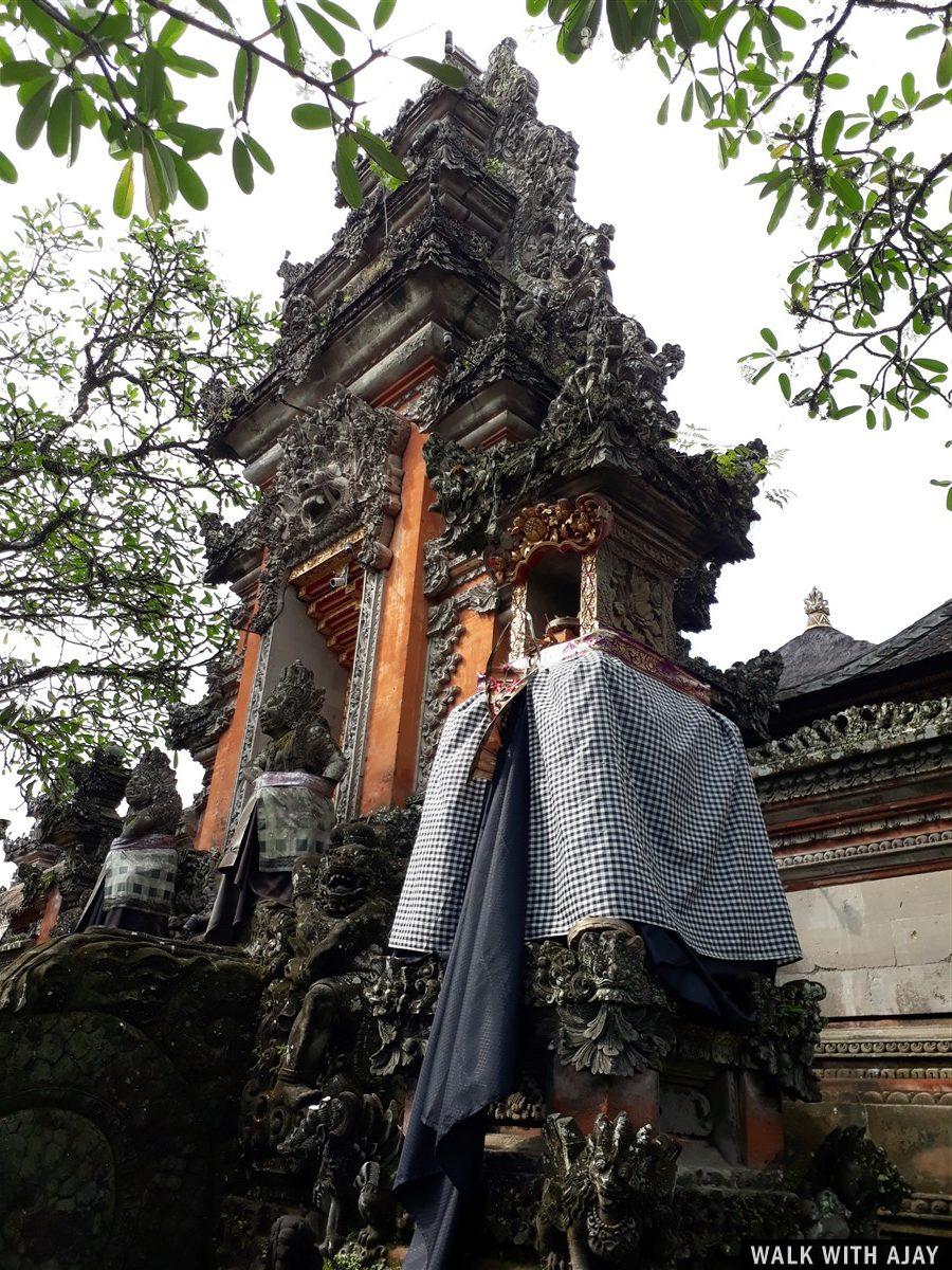 Day 1 - Places to Visit in Ubud : Bali, Indonesia (Dec'18) 37