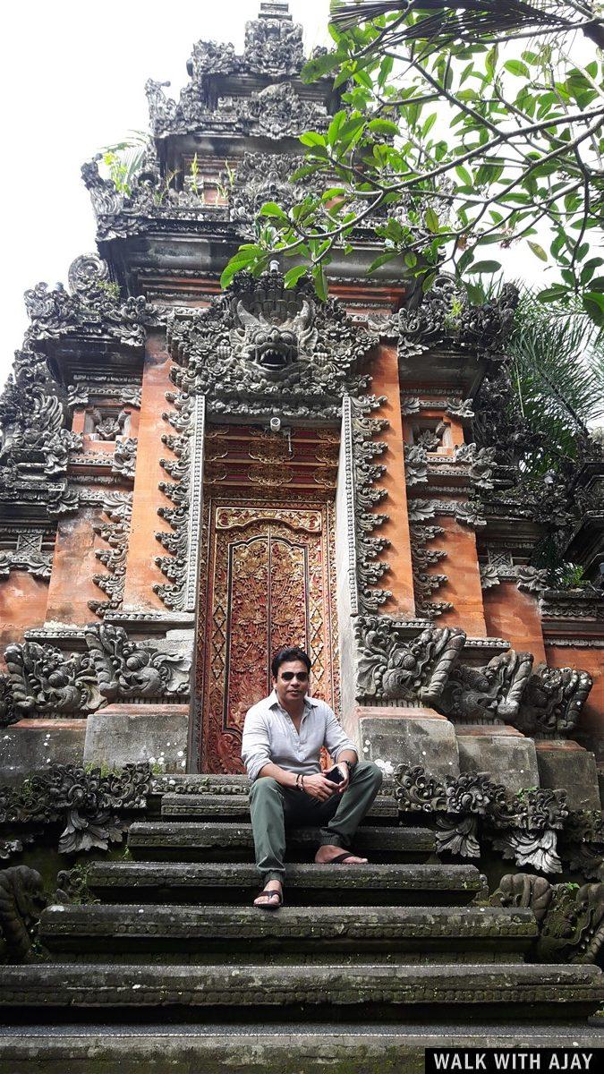 Exploring Ubud, Bali : Indonesia (Dec'18) - Day 1 35