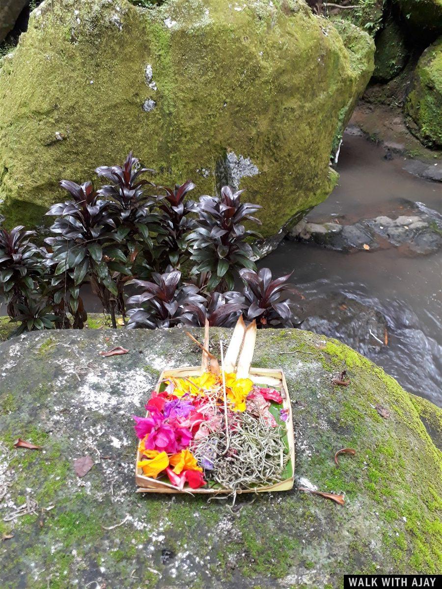 Day 1 - Places to Visit in Ubud : Bali, Indonesia (Dec'18) 48