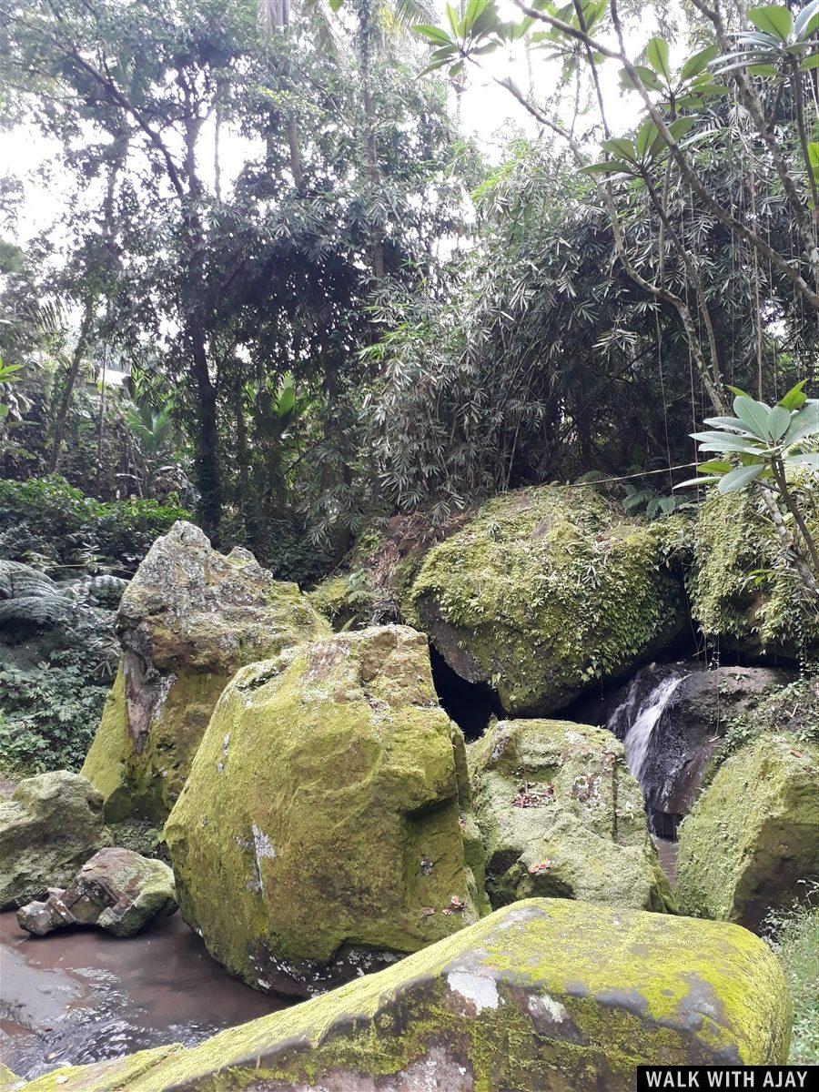 Day 1 - Places to Visit in Ubud : Bali, Indonesia (Dec'18) 51