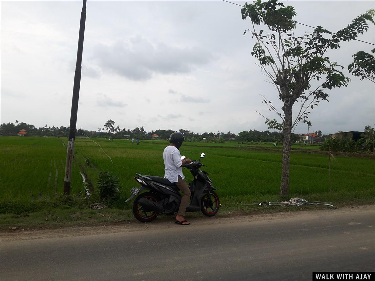Day 2 - Experience Ubud to Tanah Lot Temple by Motorbike : Bali, Indonesia (Dec’18) 3