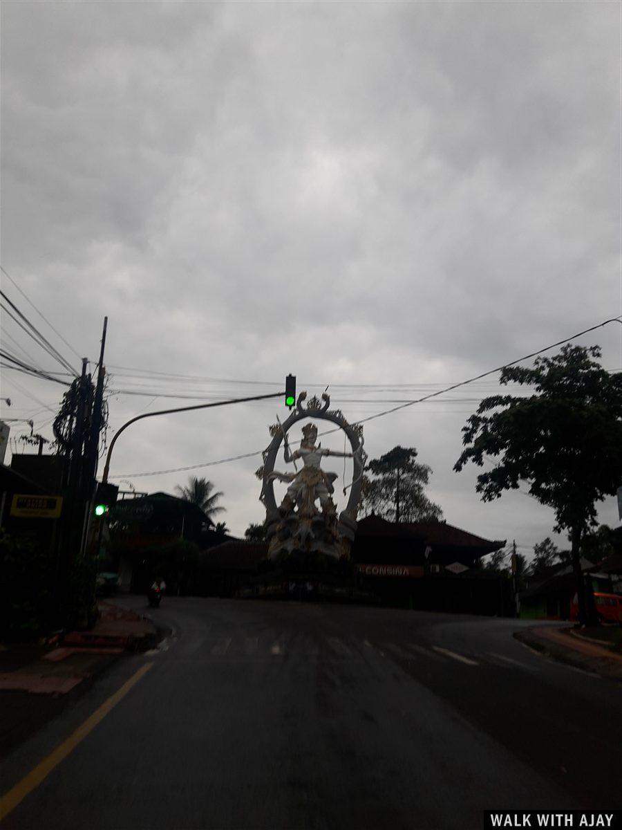 Day 3 - Early Morning Visit to Tegallalang Rice Terrace : Bali, Indonesia (Jan'19) 20
