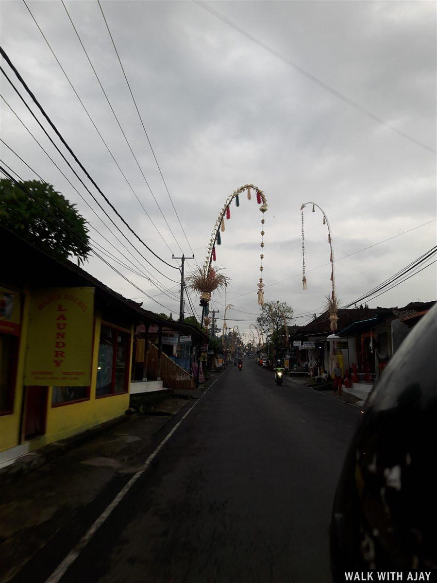 Day 3 - Early Morning Visit to Tegallalang Rice Terrace : Bali, Indonesia (Jan'19) 21