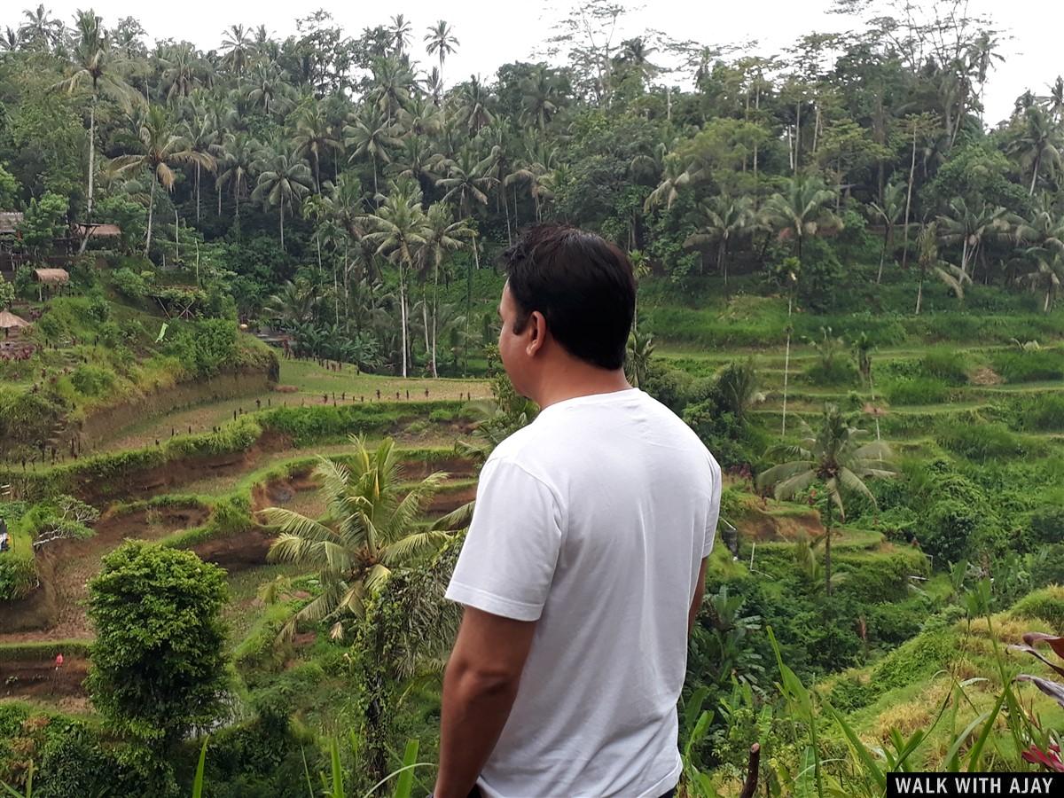 Day 3 - Early Morning Visit to Tegallalang Rice Terrace : Bali, Indonesia (Jan'19) 3