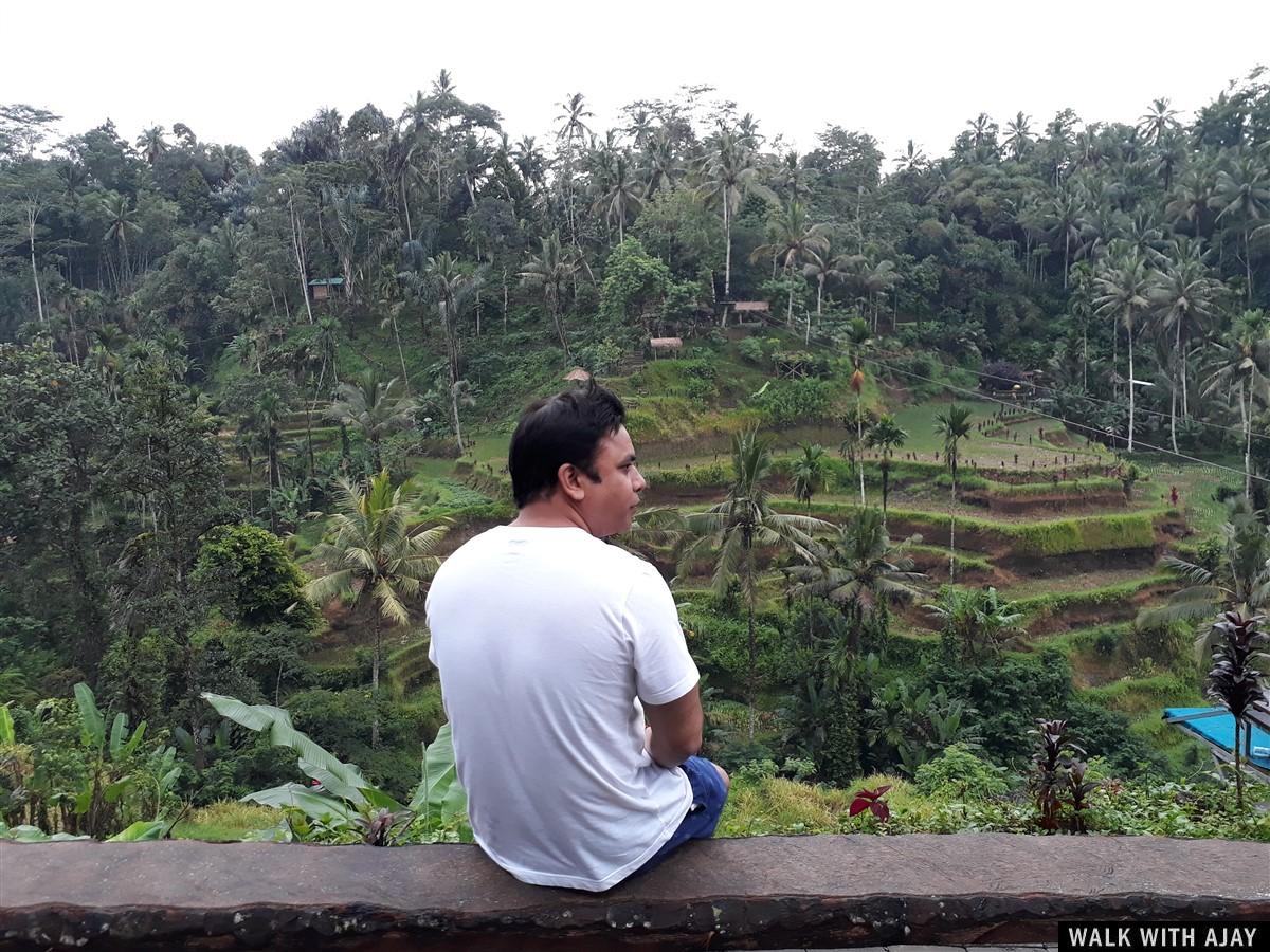 Day 3 - Early Morning Visit to Tegallalang Rice Terrace : Bali, Indonesia (Jan'19) 5