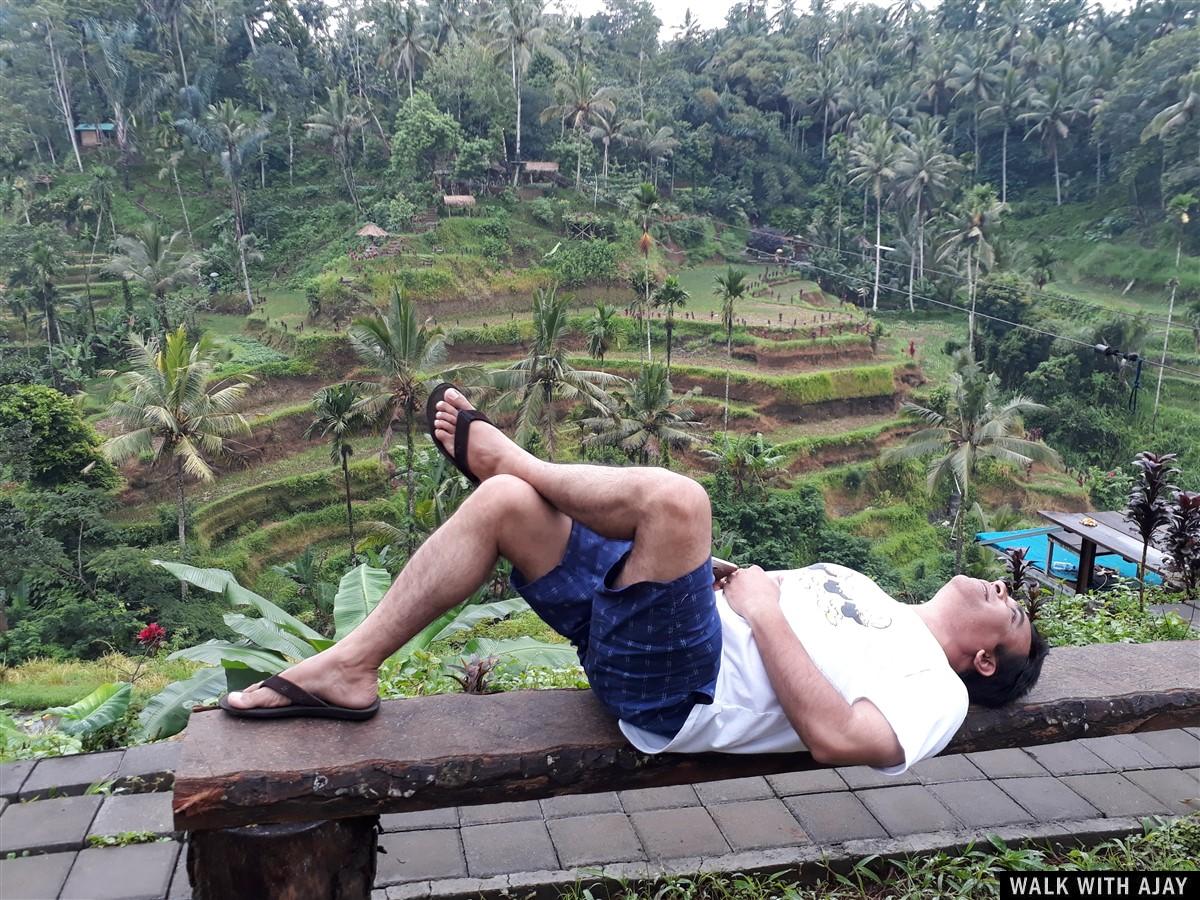 Day 3 - Early Morning Visit to Tegallalang Rice Terrace : Bali, Indonesia (Jan'19) 9