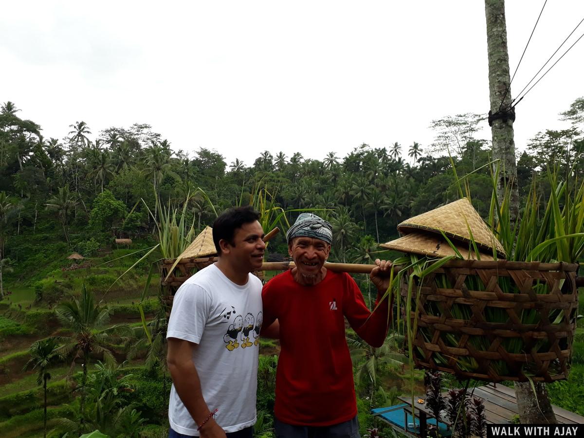 Day 3 - Early Morning Visit to Tegallalang Rice Terrace : Bali, Indonesia (Jan'19) 8