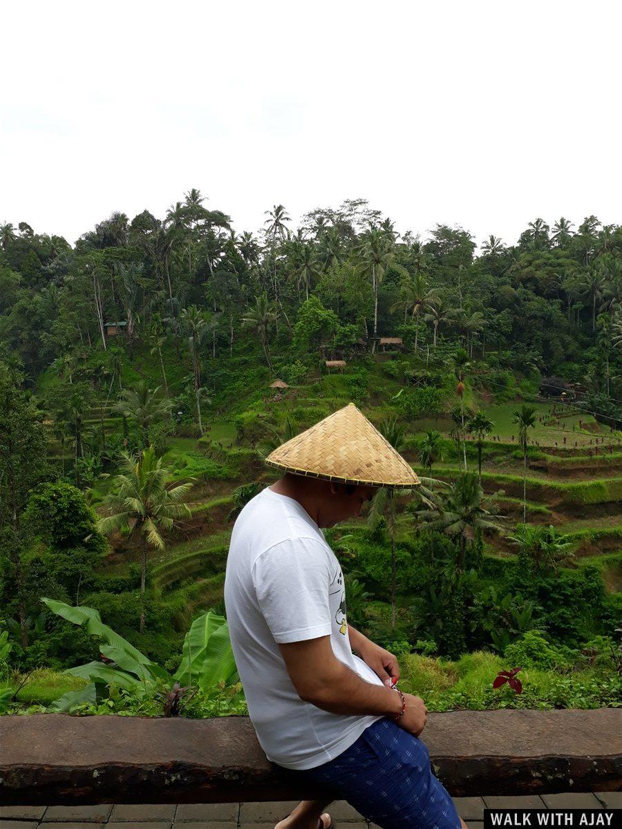 Day 3 - Early Morning Visit to Tegallalang Rice Terrace : Bali, Indonesia (Jan'19) 7