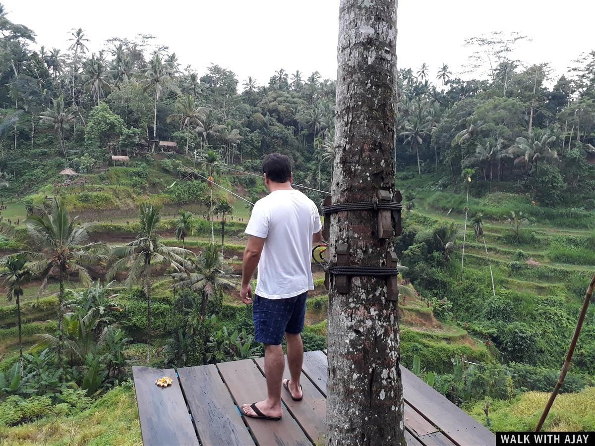 Day 3 - Early Morning Visit to Tegallalang Rice Terrace : Bali, Indonesia (Jan'19) 11