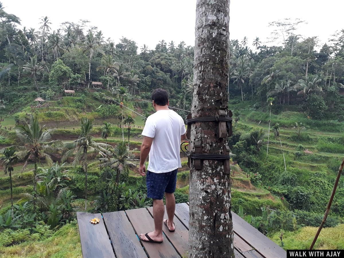 Exploring Tegallalang Rice Terrace & Ubud : Bali, Indonesia (Jan'19) - Day 3 10